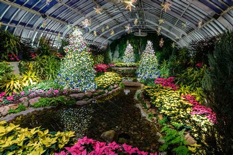 phipps conservatory holiday lights 2022